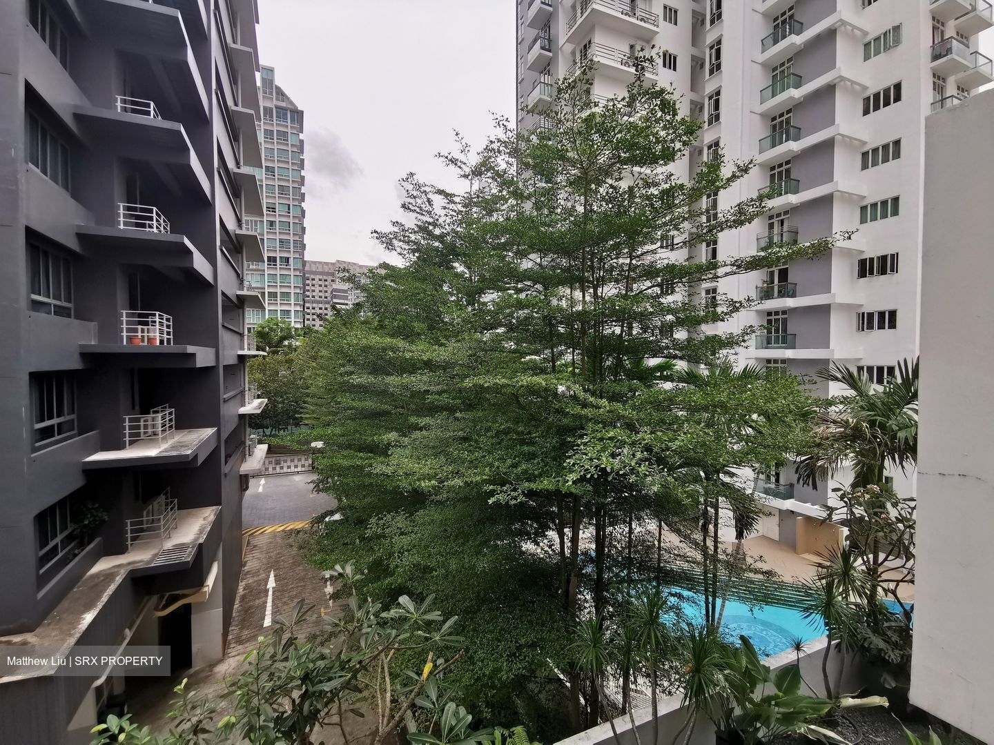 Chelsea Grove (D12), Apartment #571320121